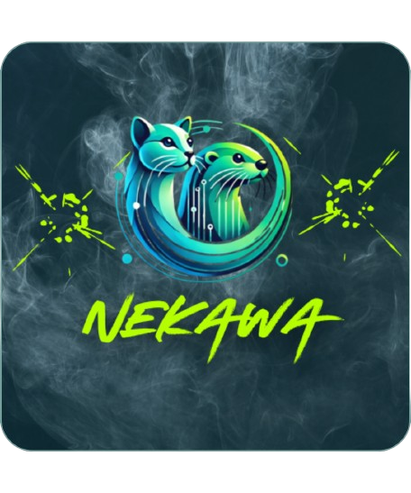 Découvrez Nekawa - Twitch